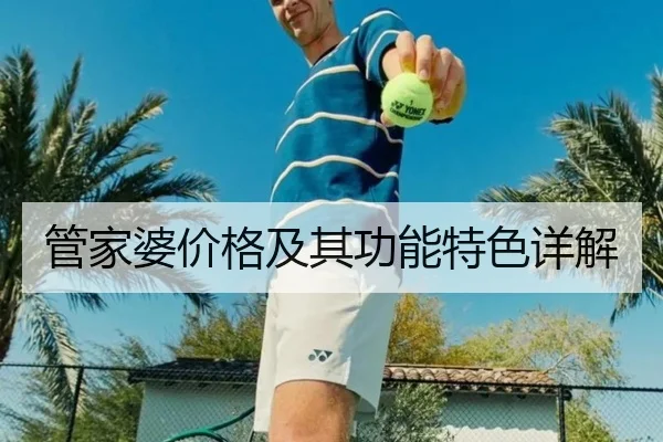 管家婆价格及其功能特色详解